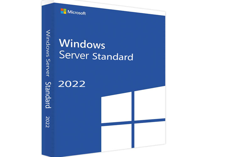 Windows Server 2022 Standard CD Key (Digital Download)