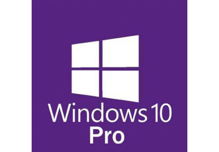 Windows 10 Professional CD Key (Digital Download)