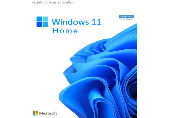 Windows 11 Home CD Key (Digital Download)