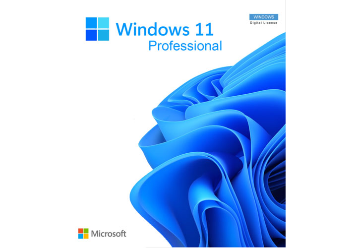 Windows 11 Professional CD Key (Digital Download)